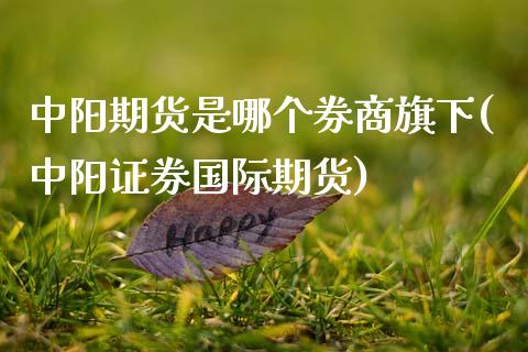 中阳期货是哪个券商旗下(中阳证券国际期货)_https://www.xmqjcw.com_期货百科_第1张