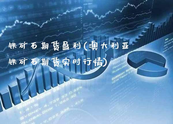 铁矿石期货盈利(澳大利亚铁矿石期货实时行情)_https://www.xmqjcw.com_股票投资_第1张