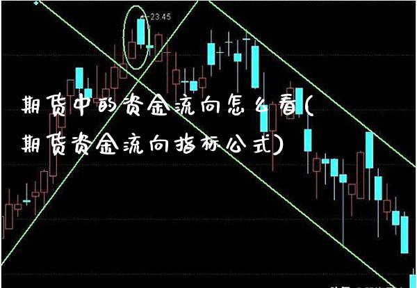 期货中的资金流向怎么看(期货资金流向指标公式)_https://www.xmqjcw.com_期货百科_第1张