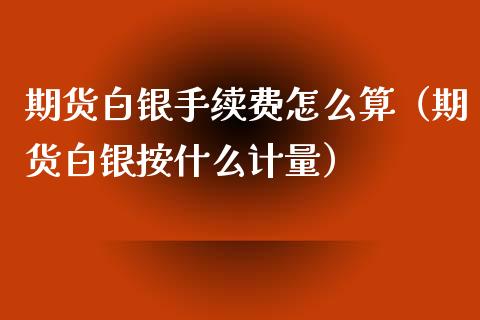 期货白银手续费怎么算（期货白银按什么计量）_https://www.xmqjcw.com_期货投资_第1张