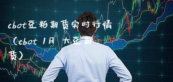 cbot豆粕期货实时行情（cbot 1月 大豆期货）_https://www.xmqjcw.com_期货开户_第1张