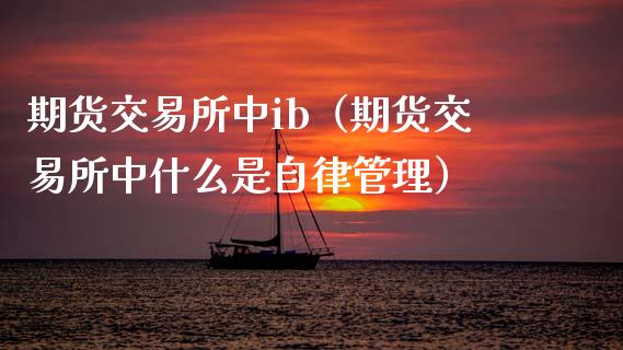 期货交易所中ib（期货交易所中什么是自律管理）_https://www.xmqjcw.com_期货直播室_第1张