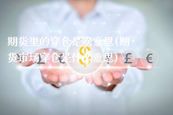 期货里的穿仓是啥意思(期货市场穿仓是什么意思)_https://www.xmqjcw.com_期货百科_第1张