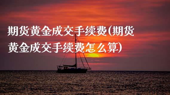 期货黄金成交手续费(期货黄金成交手续费怎么算)_https://www.xmqjcw.com_期货百科_第1张