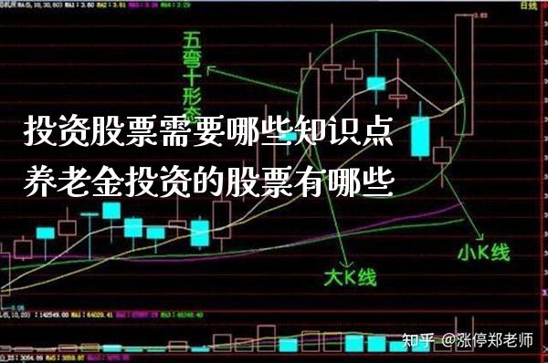 投资股票需要哪些知识点 养老金投资的股票有哪些_https://www.xmqjcw.com_股票投资_第1张