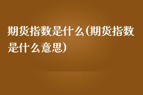 期货指数是什么(期货指数是什么意思)_https://www.xmqjcw.com_期货投资_第1张