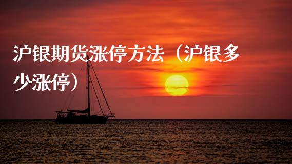 沪银期货涨停方法（沪银多少涨停）_https://www.xmqjcw.com_期货直播室_第1张