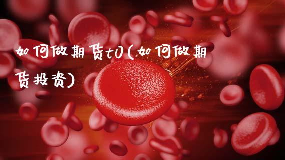 如何做期货t0(如何做期货投资)_https://www.xmqjcw.com_期货投资_第1张