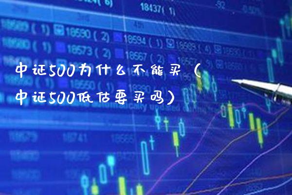 中证500为什么不能买（中证500低估要买吗）_https://www.xmqjcw.com_期货投资_第1张