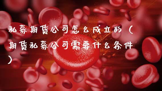 私募期货公司怎么成立的（期货私募公司需要什么条件）_https://www.xmqjcw.com_期货开户_第1张