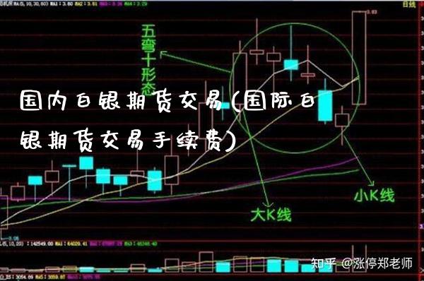 国内白银期货交易(国际白银期货交易手续费)_https://www.xmqjcw.com_期货百科_第1张