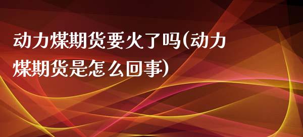 动力煤期货要火了吗(动力煤期货是怎么回事)_https://www.xmqjcw.com_期货投资_第1张
