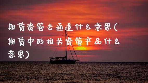 期货资管去通道什么意思(期货中的相关资管产品什么意思)_https://www.xmqjcw.com_期货百科_第1张