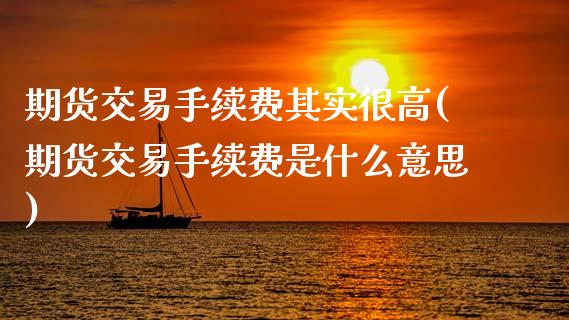 期货交易手续费其实很高(期货交易手续费是什么意思)_https://www.xmqjcw.com_期货百科_第1张