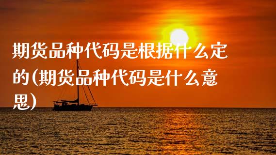 期货品种代码是根据什么定的(期货品种代码是什么意思)_https://www.xmqjcw.com_期货百科_第1张