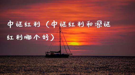 中证红利（中证红利和深证红利哪个好）_https://www.xmqjcw.com_期货投资_第1张