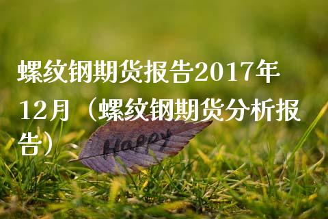 螺纹钢期货报告2017年12月（螺纹钢期货分析报告）_https://www.xmqjcw.com_期货投资_第1张