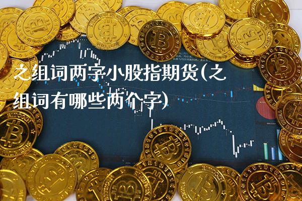 之组词两字小股指期货(之组词有哪些两个字)_https://www.xmqjcw.com_基金理财_第1张