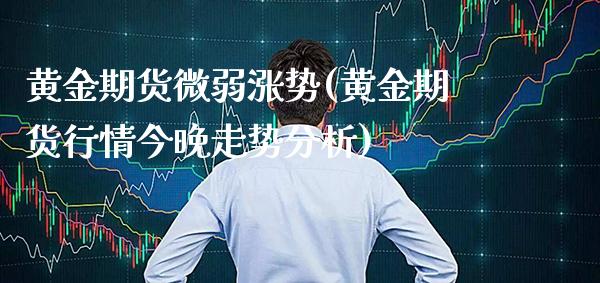 黄金期货微弱涨势(黄金期货行情今晚走势分析)_https://www.xmqjcw.com_期货百科_第1张