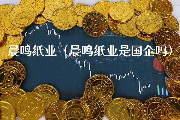 晨鸣纸业（晨鸣纸业是国企吗）_https://www.xmqjcw.com_期货直播室_第1张