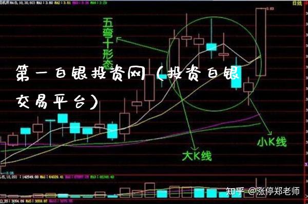 第一白银投资网（投资白银交易平台）_https://www.xmqjcw.com_期货投资_第1张