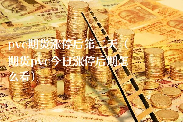 pvc期货涨停后第二天（期货pvc今日涨停后期怎么看）_https://www.xmqjcw.com_期货投资_第1张