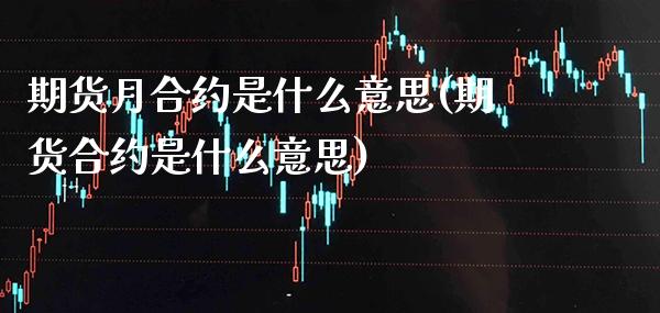 期货月合约是什么意思(期货合约是什么意思)_https://www.xmqjcw.com_期货百科_第1张