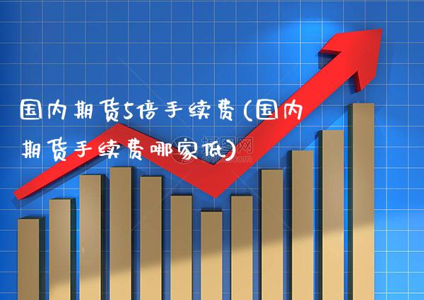 国内期货5倍手续费(国内期货手续费哪家低)_https://www.xmqjcw.com_期货百科_第1张