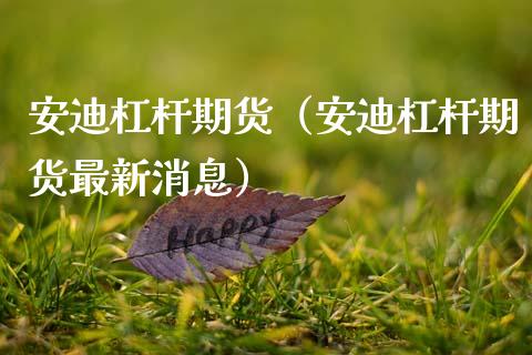 安迪杠杆期货（安迪杠杆期货最新消息）_https://www.xmqjcw.com_期货投资_第1张