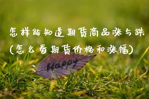 怎样能知道期货商品涨与跌(怎么看期货价格和涨幅)_https://www.xmqjcw.com_期货行情_第1张