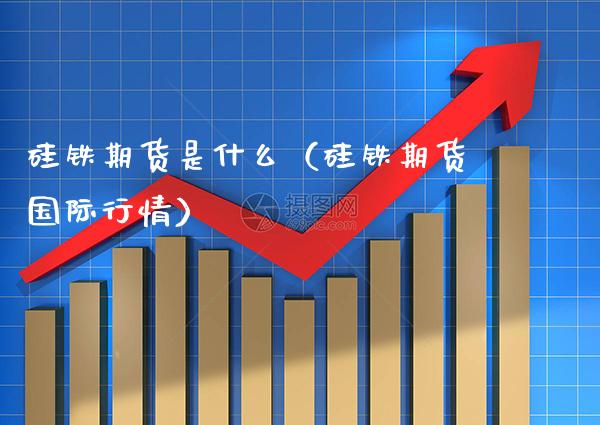 硅铁期货是什么（硅铁期货国际行情）_https://www.xmqjcw.com_期货行情_第1张