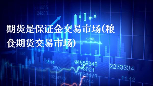 期货是保证金交易市场(粮食期货交易市场)_https://www.xmqjcw.com_期货开户_第1张