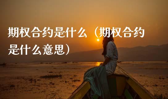 期权合约是什么（期权合约是什么意思）_https://www.xmqjcw.com_期货投资_第1张