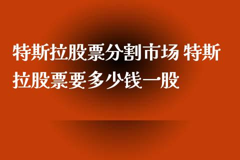特斯拉股票分割市场 特斯拉股票要多少钱一股_https://www.xmqjcw.com_股票投资_第1张