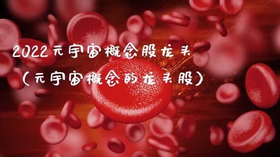2022元宇宙概念股龙头（元宇宙概念的龙头股）_https://www.xmqjcw.com_股票投资_第1张