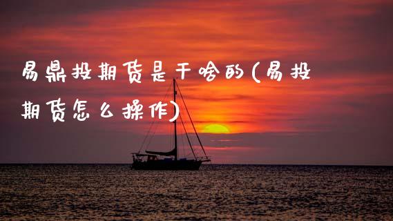 易鼎投期货是干啥的(易投期货怎么操作)_https://www.xmqjcw.com_基金理财_第1张