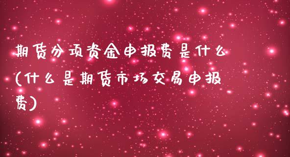 期货分项资金申报费是什么(什么是期货市场交易申报费)_https://www.xmqjcw.com_期货百科_第1张