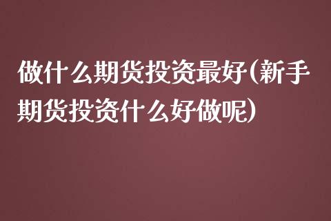 做什么期货投资最好(新手期货投资什么好做呢)_https://www.xmqjcw.com_期货投资_第1张
