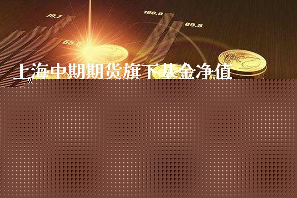 上海中期期货旗下基金净值走势(上海中期期货投资收益分析)_https://www.xmqjcw.com_期货百科_第1张