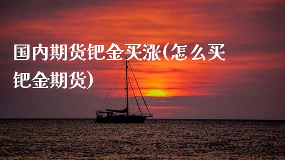 国内期货钯金买涨(怎么买钯金期货)_https://www.xmqjcw.com_股票投资_第1张