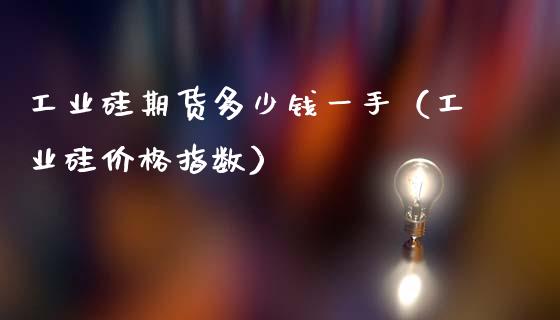 工业硅期货多少钱一手（工业硅价格指数）_https://www.xmqjcw.com_期货投资_第1张