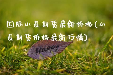 国际小麦期货最新价格(小麦期货价格最新行情)_https://www.xmqjcw.com_基金理财_第1张
