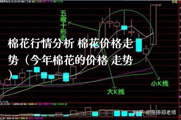棉花行情分析 棉花价格走势（今年棉花的价格 走势）_https://www.xmqjcw.com_期货直播室_第1张