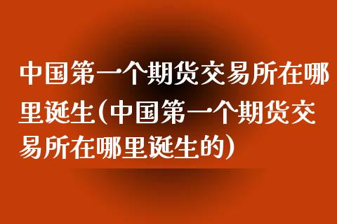 中国第一个期货交易所在哪里诞生(中国第一个期货交易所在哪里诞生的)_https://www.xmqjcw.com_期货直播室_第1张