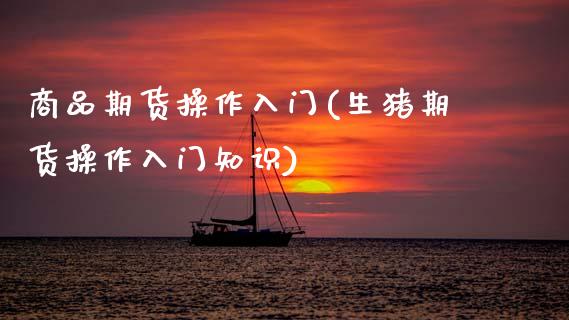 商品期货操作入门(生猪期货操作入门知识)_https://www.xmqjcw.com_基金理财_第1张