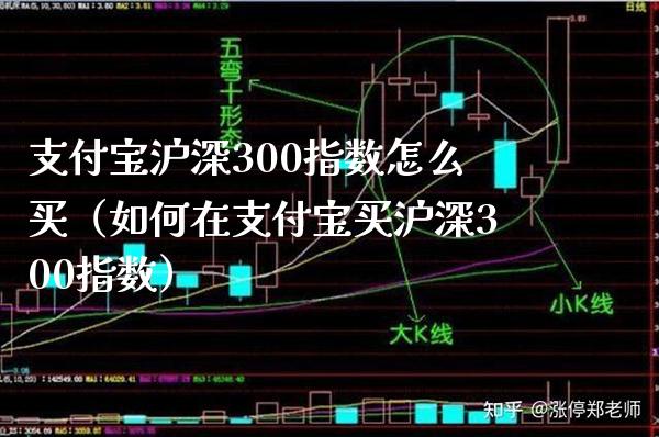 支付宝沪深300指数怎么买（如何在支付宝买沪深300指数）_https://www.xmqjcw.com_期货投资_第1张