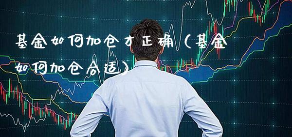 基金如何加仓才正确（基金如何加仓合适）_https://www.xmqjcw.com_基金理财_第1张