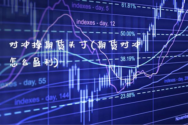 对冲掉期货头寸(期货对冲怎么盈利)_https://www.xmqjcw.com_期货百科_第1张
