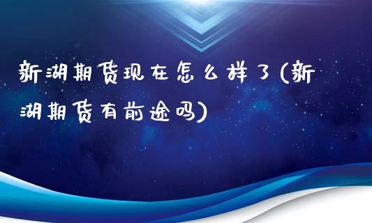 新湖期货现在怎么样了(新湖期货有前途吗)_https://www.xmqjcw.com_期货百科_第1张