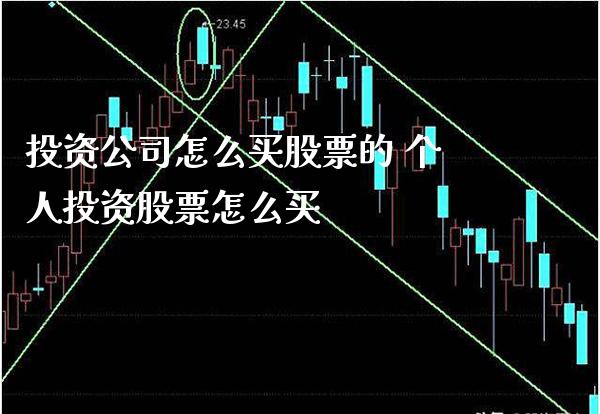投资公司怎么买股票的 个人投资股票怎么买_https://www.xmqjcw.com_股票投资_第1张